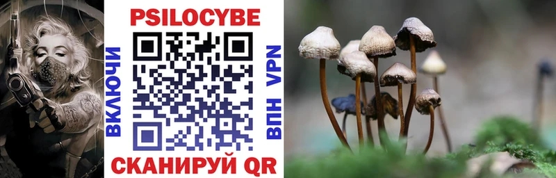 мориарти формула Ртищево Галлюциногенные грибы Psilocybine cubensis