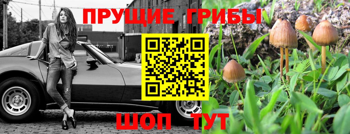 Галлюциногенные грибы ЛСД Ртищево