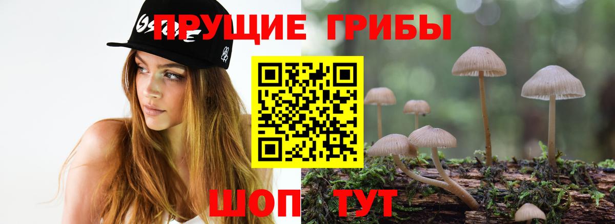 Ртищево  Галлюциногенные грибы мухоморы  Вход с VPN 